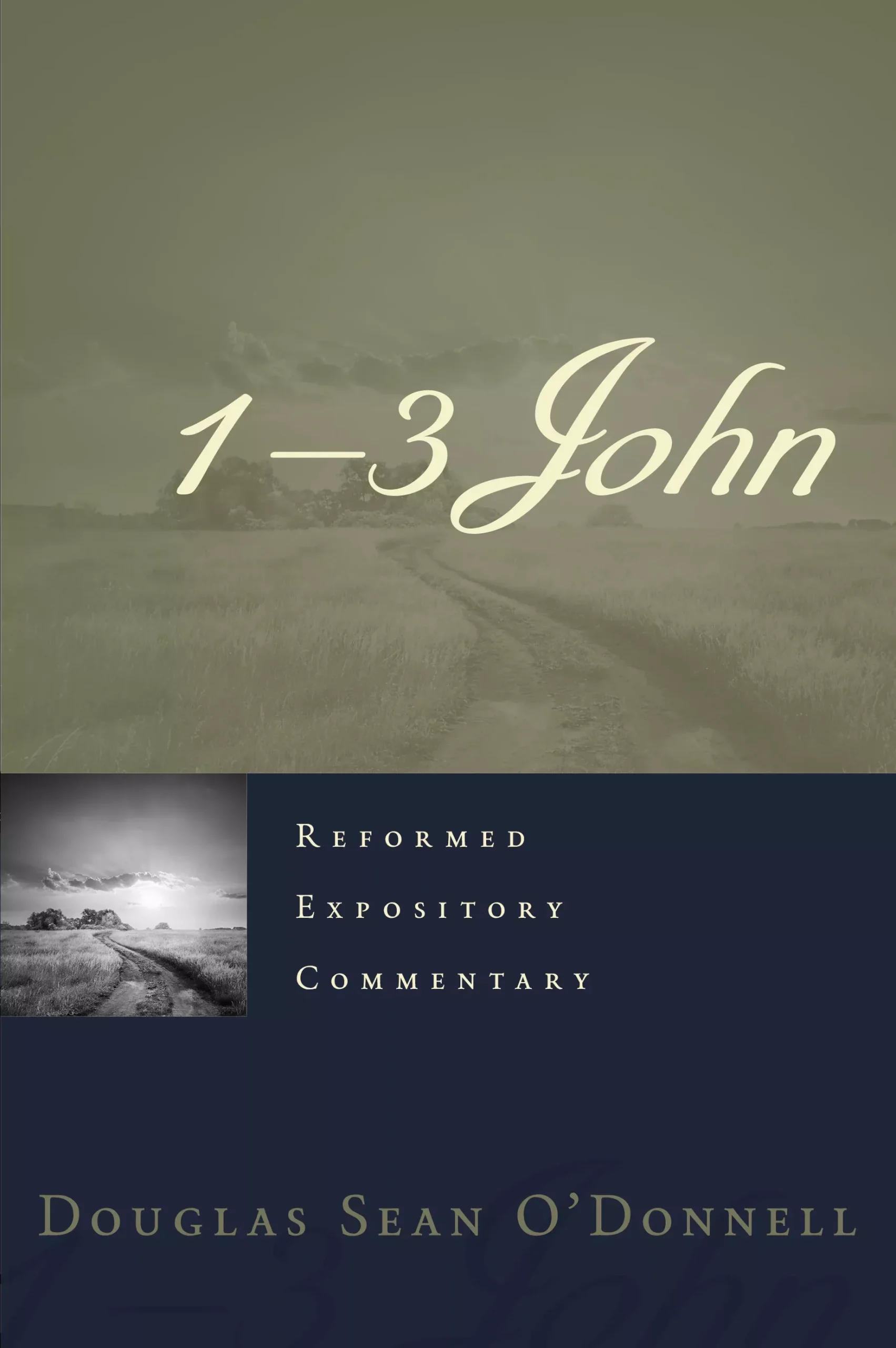 1-3 John (#20 in Reformed Expository Commentary Series)