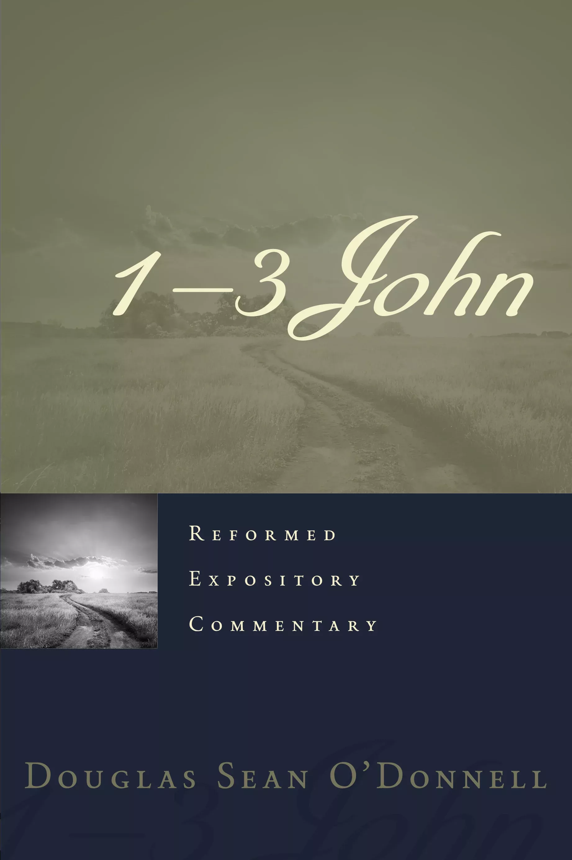 1-3 John (#20 in Reformed Expository Commentary Series)