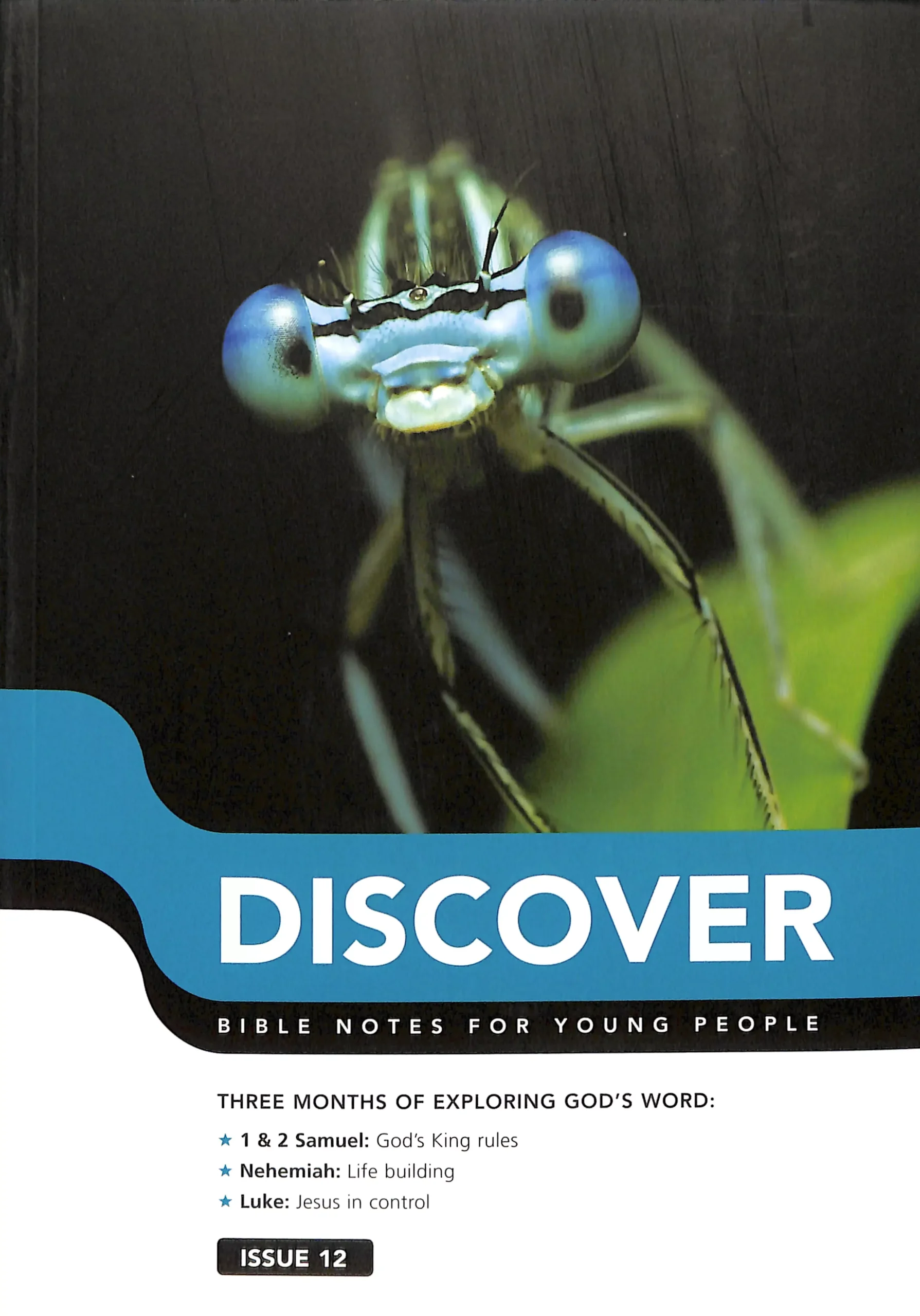 1 Samuel, 2 Samuel, Nehemiah, Luke (#12 in Discover Bible Notes For Young People Series)