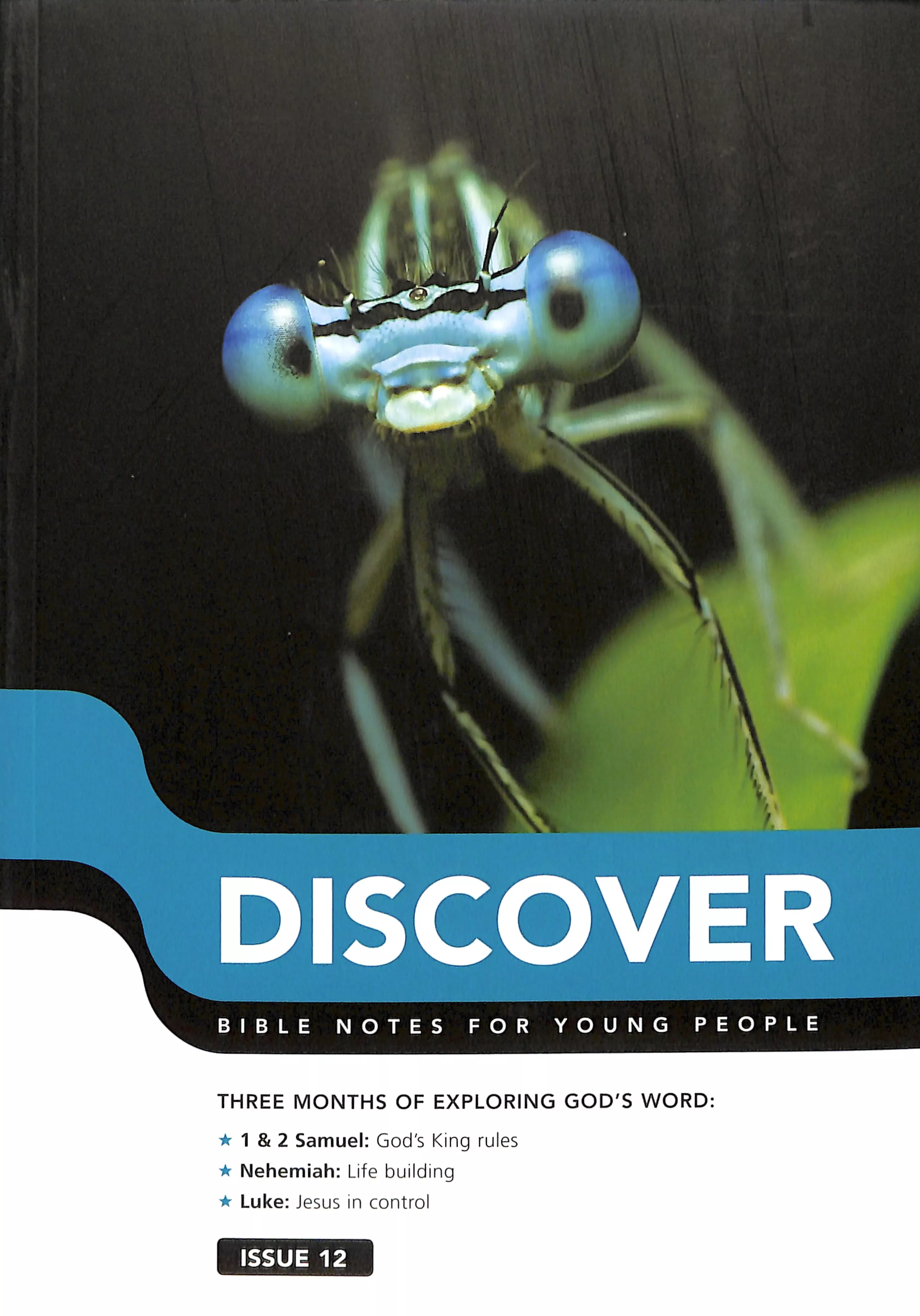 1 Samuel, 2 Samuel, Nehemiah, Luke (#12 in Discover Bible Notes For Young People Series)