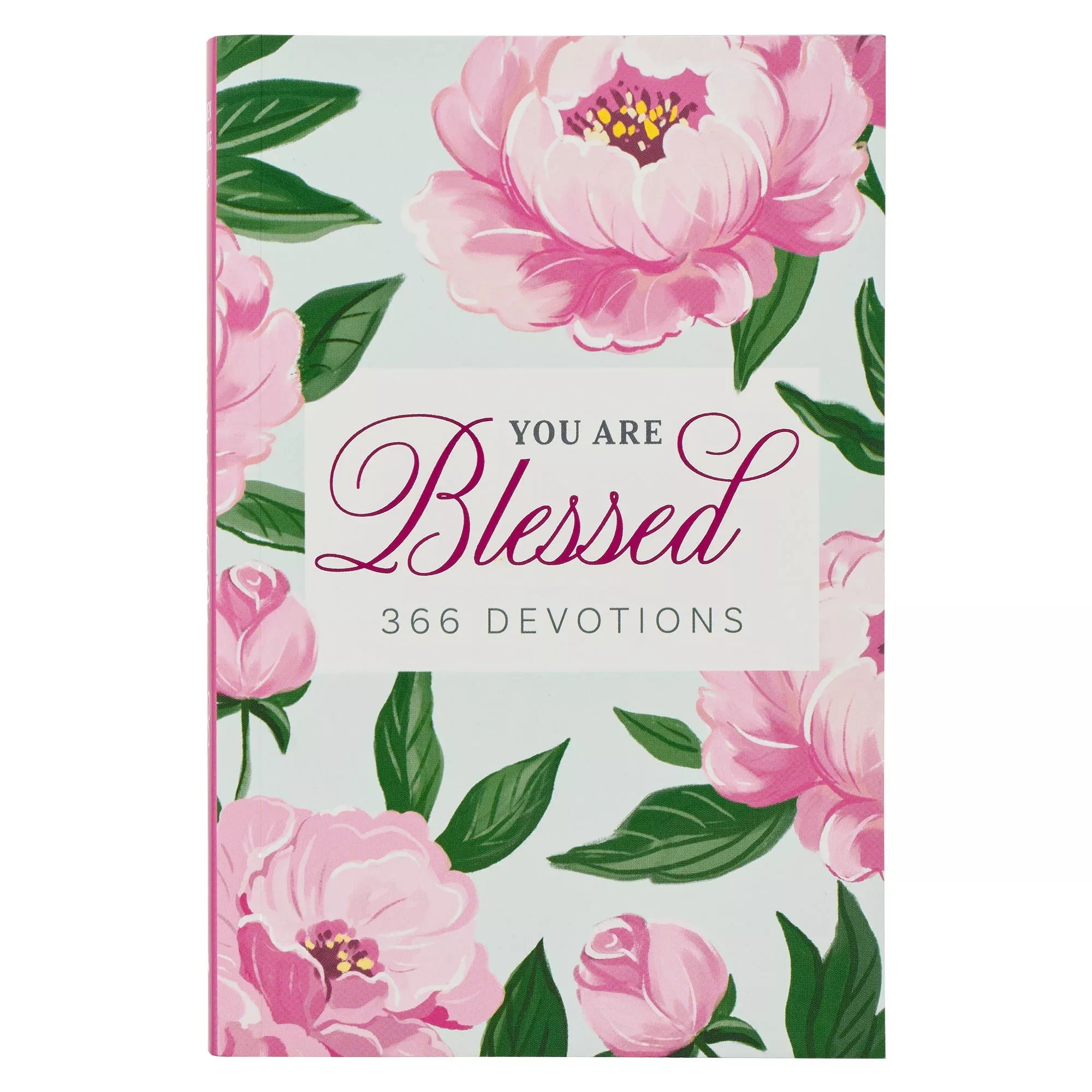 You Are Blessed: 366 Devotions For Women